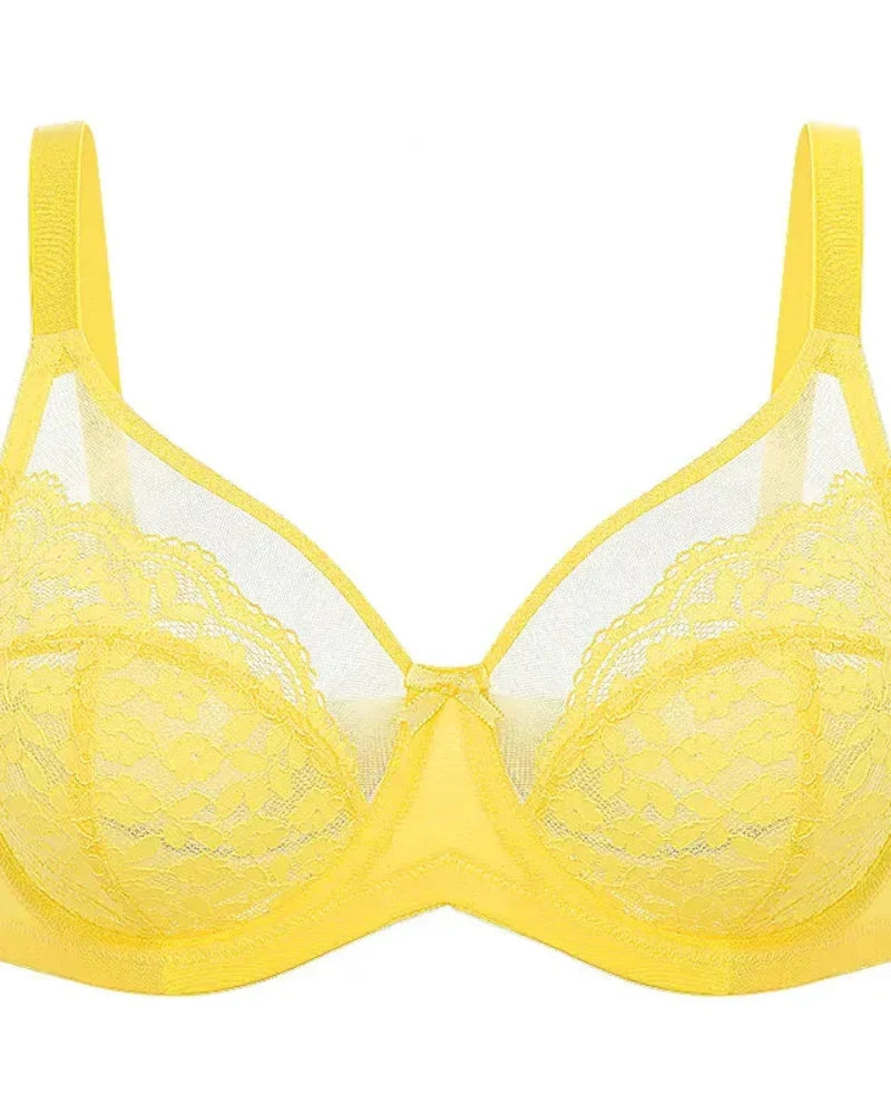 Floral lace shaping plus size bra